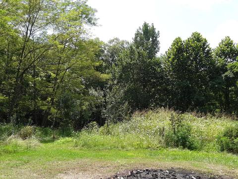 2274 Baas Rd, Batavia, OH 45103 photo 15