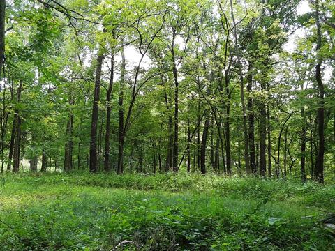2274 Baas Rd, Batavia, OH 45103 photo 13