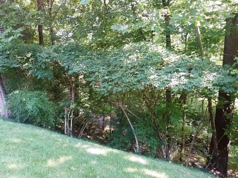 2356 Neeb Rd, Cincinnati, OH 45233 photo 17