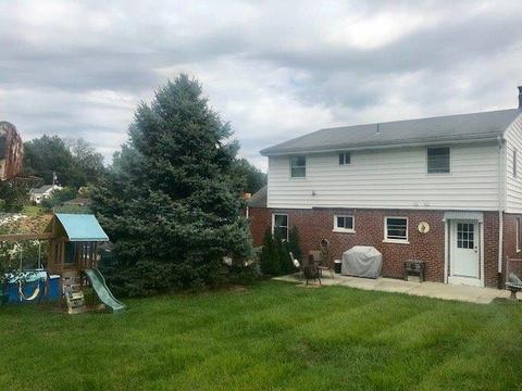 1135 Beechmeadow Ln, Cincinnati, OH 45238 photo 22