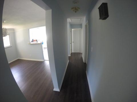 8737 Mockingbird Ln, Cincinnati, OH 45231 photo 8