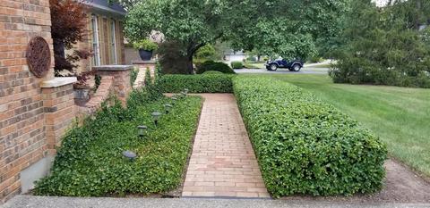 10263 Lochcrest Dr, Cincinnati, OH 45231 photo 3