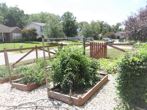 4201 Christopher Ct, Batavia, OH 45103 photo 59