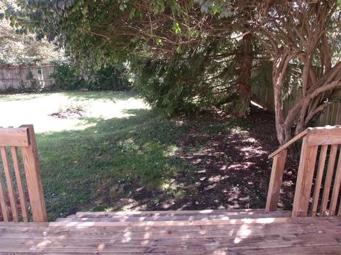 220 Third St, Williamsburg, OH 45176 photo 7