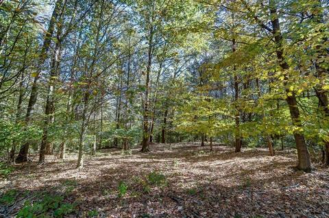 3910 Ray Ct, Morrow, OH 45152 photo 39