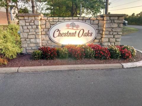 6846 Spring Arbor Dr, Mason, OH 45040 photo 30