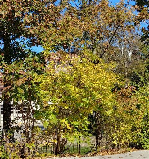 589 Torrence Ln, Cincinnati, OH 45208 photo 1