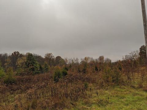 3685 Bootjack Corner Rd, Williamsburg Twp, OH 45176 photo 12