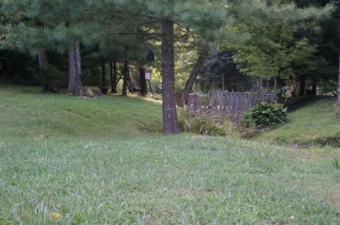3521 Lucas Rd, Blanchester, OH 45107 photo 44
