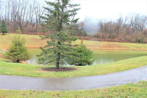 3019 Yellowtail Ter, Morrow, OH 45152 photo 22