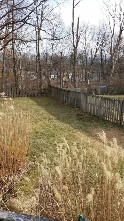 9218 Ranchill Dr, Cincinnati, OH 45231 photo 48