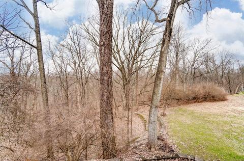 4318 Eaglepoint Ct, Cincinnati, OH 45238 photo 60