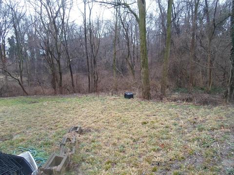 807 Blair Ave, Cincinnati, OH 45229 photo 8