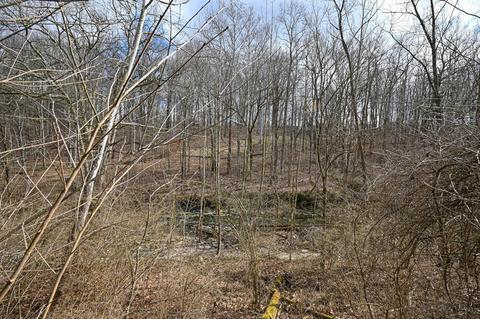574 Williamsburg Ct, Cincinnati, OH 45244 photo 70