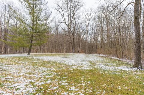 4408 Mason Morrow Millgrove Rd, Morrow, OH 45152 photo 63