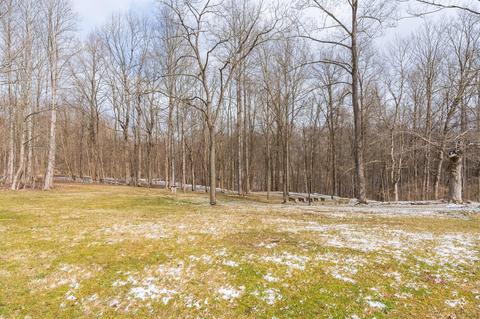 4408 Mason Morrow Millgrove Rd, Morrow, OH 45152 photo 66