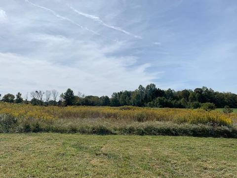7709 Gardner Rd, Georgetown, OH 45121 photo 7