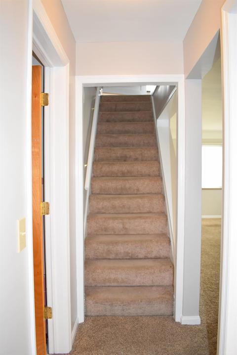 1010 Hempstead Dr, Cincinnati, OH 45231 photo 19