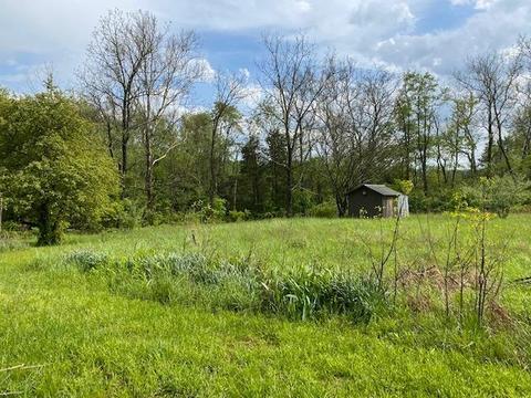 3957 Summit Rd, Batavia, OH 45103 photo 14
