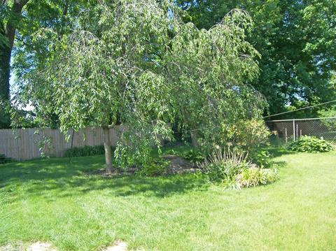 3848 Queen Crest Ave, Cincinnati, OH 45236 photo 22