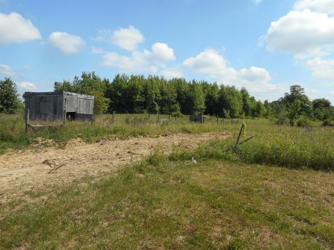 2235 Reeder Rd, Blanchester, OH 45107 photo 6