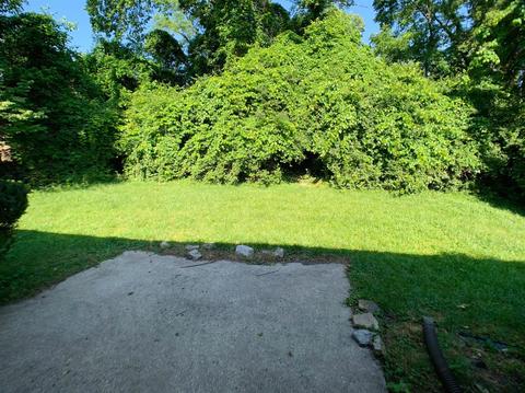 3585 Alaska Ave, Cincinnati, OH 45229 photo 18
