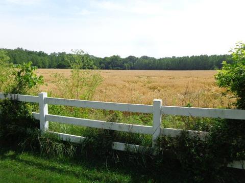 8108 Chamberlain Rd, Franklin, OH 45005 photo 5