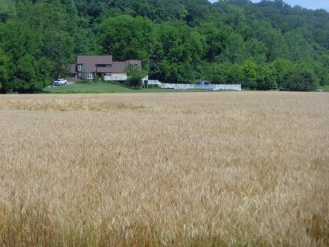 8108 Chamberlain Rd, Franklin, OH 45005 photo 18