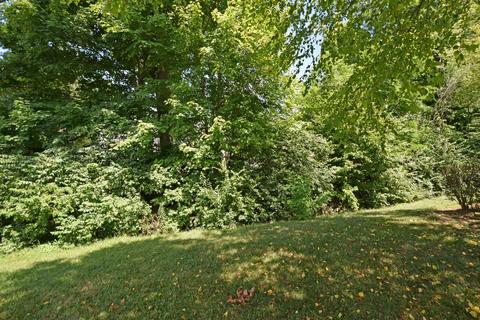 2586 Morgan Dr, Morrow, OH 45152 photo 43