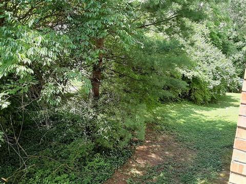 522 Riddle Rd #19, Cincinnati, OH 45220 photo 28
