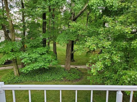 491 Mapleleaf Dr #D, Cincinnati, OH 45255 photo 31