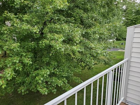 491 Mapleleaf Dr #D, Cincinnati, OH 45255 photo 32