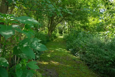 8023 Springfield Rd, Cedar Grove, IN 47016 photo 32