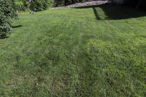 668 Mccormick Ln, Cincinnati, OH 45245 photo 22