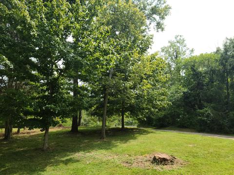 9639 Daly Rd, Cincinnati, OH 45231 photo 18