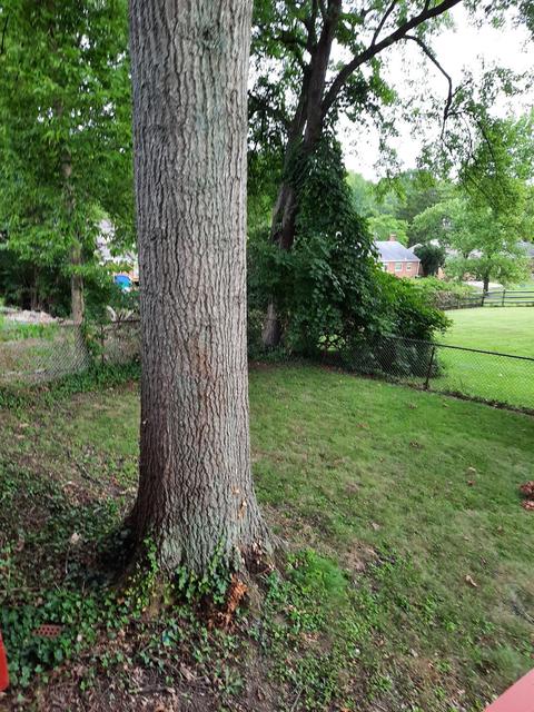 1038 Hollytree Dr, Cincinnati, OH 45231 photo 23