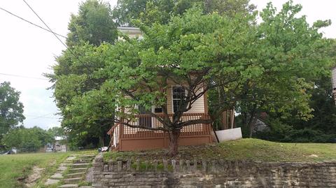1105 Carson Ave, Cincinnati, OH 45205 photo 4