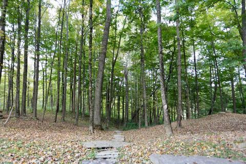3434 Pierce Rd, Georgetown, OH 45121 photo 18