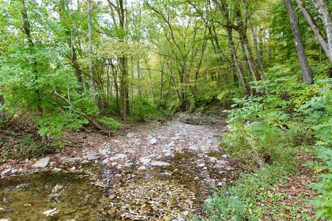 3434 Pierce Rd, Georgetown, OH 45121 photo 60