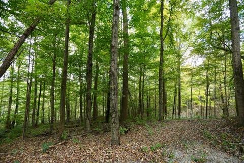 3434 Pierce Rd, Georgetown, OH 45121 photo 15
