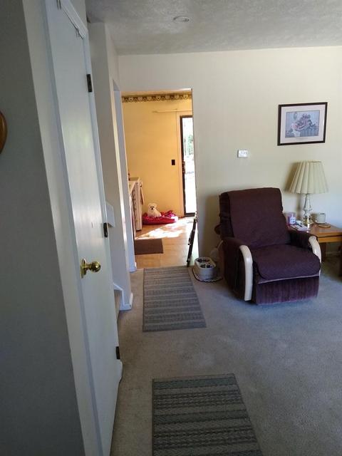 1545 Hazelgrove Dr, Cincinnati, OH 45240 photo 8