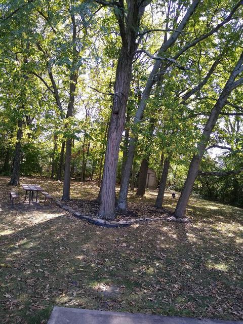 1545 Hazelgrove Dr, Cincinnati, OH 45240 photo 31