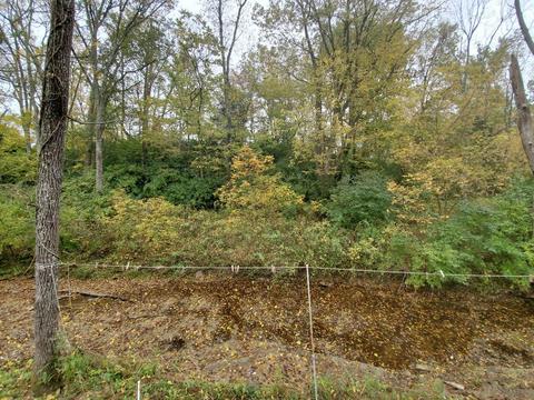 3180 Pierce Rd, Georgetown, OH 45121 photo 18