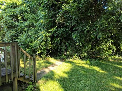 251 Setchell St, Cincinnati, OH 45226 photo 10