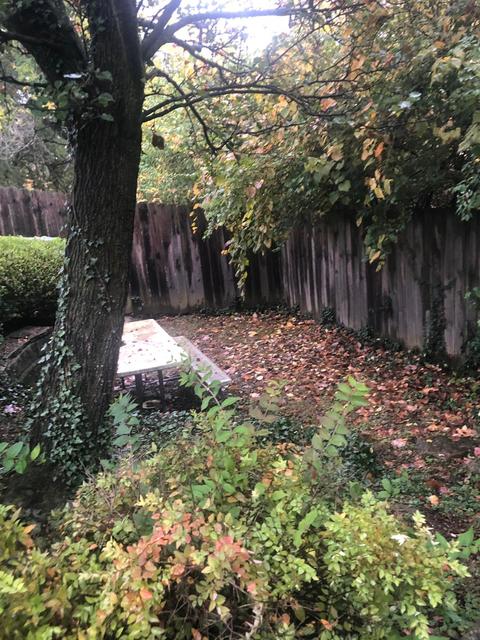 2918 Westridge Ave, Cincinnati, OH 45238 photo 43