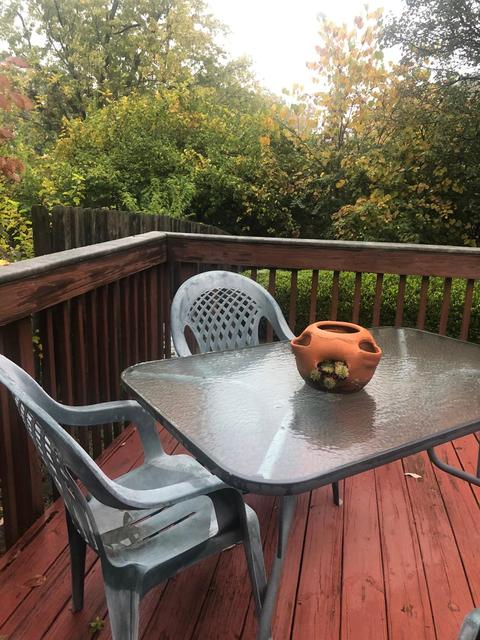 2918 Westridge Ave, Cincinnati, OH 45238 photo 44