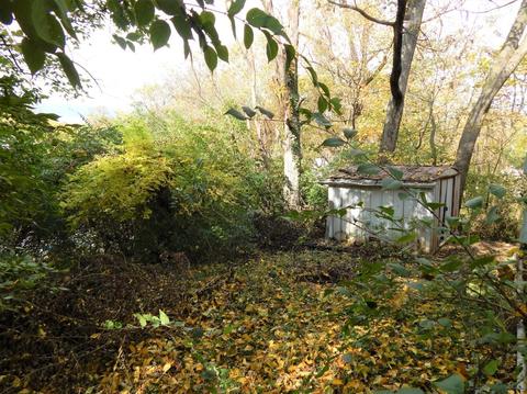 1425 Beech Ave, Cincinnati, OH 45205 photo 12