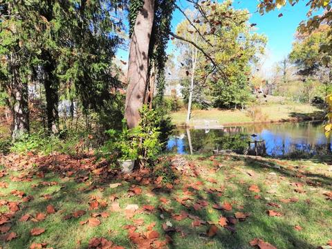 9752 Winton Rd, Springfield Twp., OH 45321 photo 25