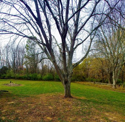 7673 Ohara Dr, Morrow, OH 45152 photo 8
