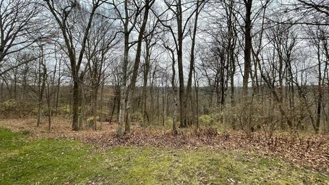 787 Dorgene Ln, Cincinnati, OH 45244 photo 3